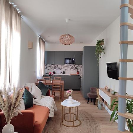 Maison Cosy Terrasse Ensoleille クレルモン・フェラン エクステリア 写真